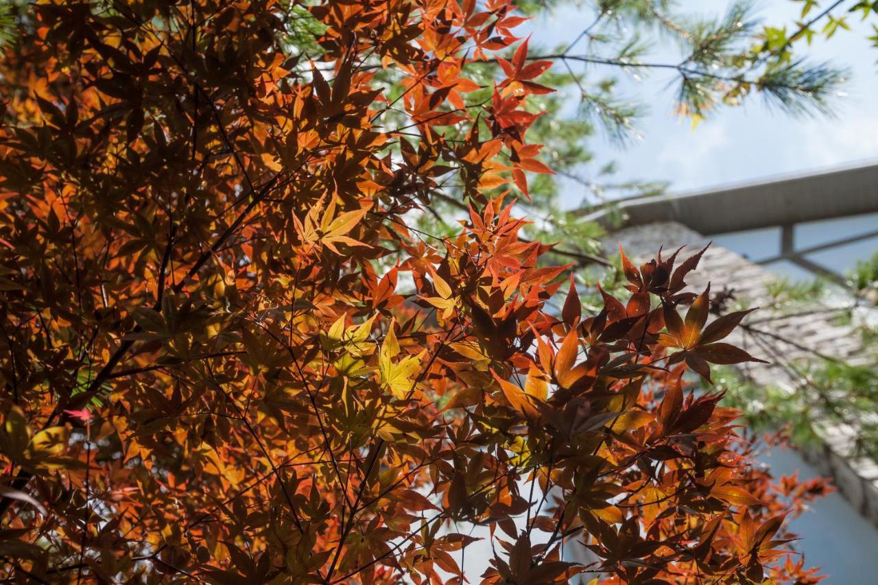 Naluwan Villa 仁愛郷 エクステリア 写真